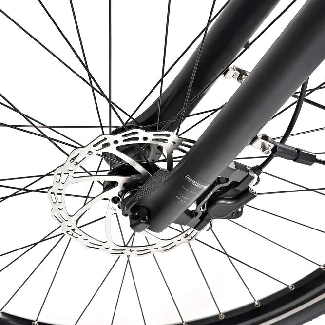 Winora Tria X7 Low e-bike
