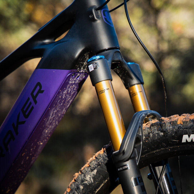 Mondraker Scree RR e-bike